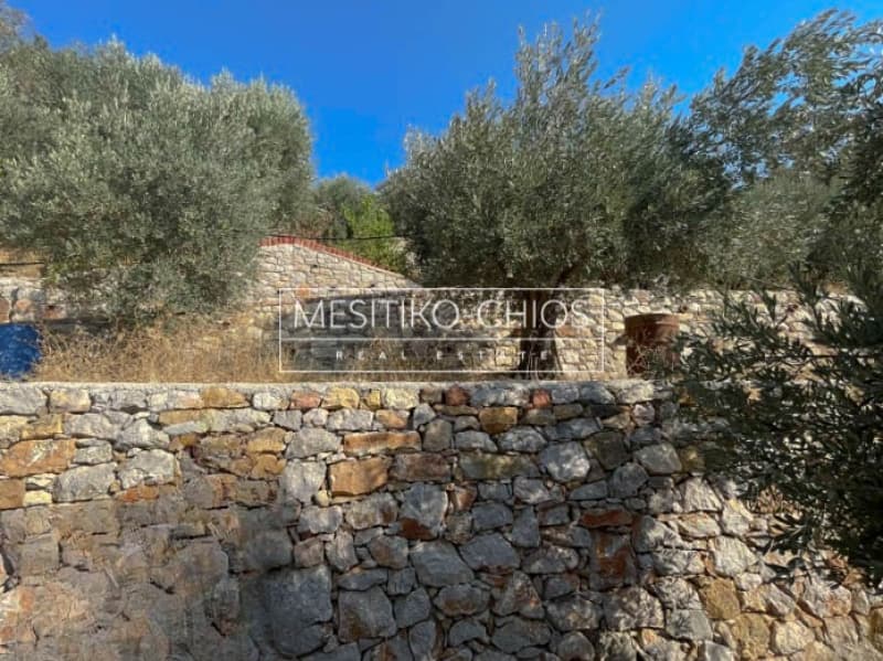 Οικόπεδο στην Πόλη Χίου, Χίος — Φωτογραφία 12 από 25