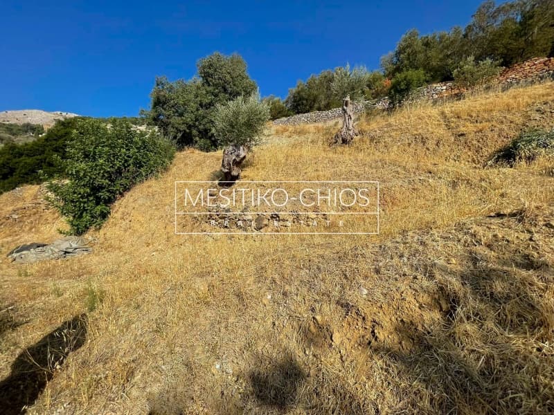 Οικόπεδο στην Πόλη Χίου, Χίος — Φωτογραφία 9 από 25