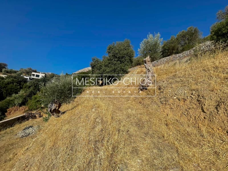 Οικόπεδο στην Πόλη Χίου, Χίος — Φωτογραφία 8 από 25
