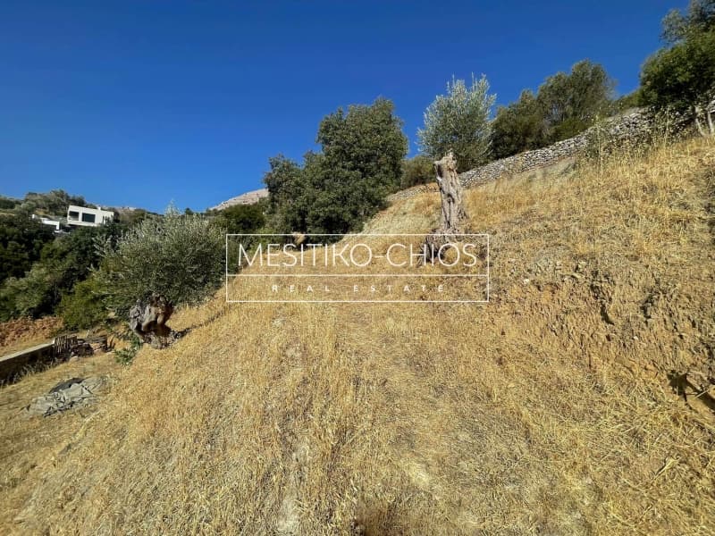 Οικόπεδο στην Πόλη Χίου, Χίος — Φωτογραφία 15 από 25
