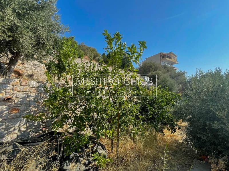 Οικόπεδο στην Πόλη Χίου, Χίος — Φωτογραφία 19 από 25