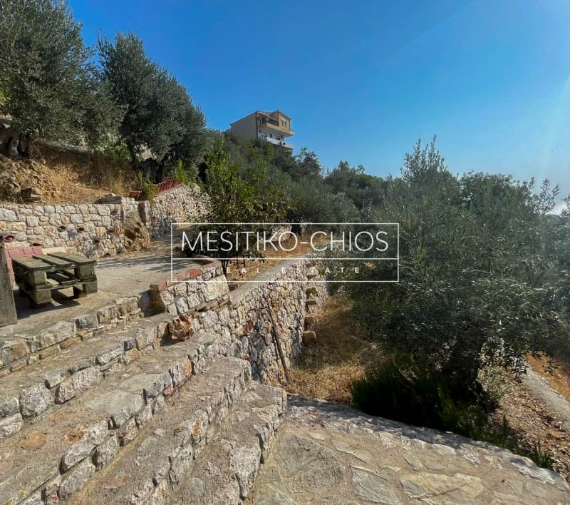 Οικόπεδο στην Πόλη Χίου, Χίος — Φωτογραφία 20 από 25
