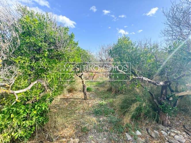 Building Plot in Kardamila, Oinousses — Photo 11 of 25