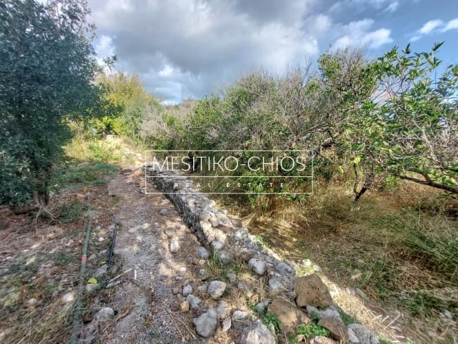 Building Plot in Kardamila, Oinousses — Photo 14 of 25