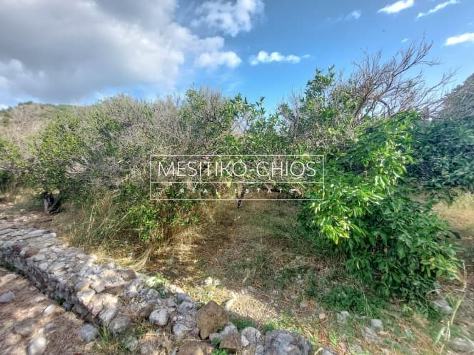 Building Plot in Kardamila, Oinousses — Photo 15 of 25