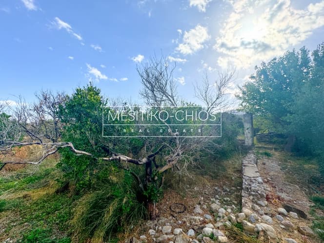 Building Plot in Kardamila, Oinousses — Photo 18 of 25