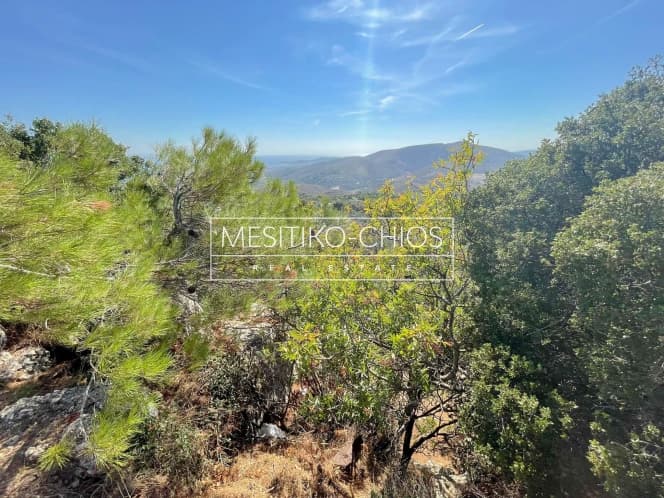 Οικόπεδο στην Ομηρούπολη, Χίος — Φωτογραφία 3 από 8