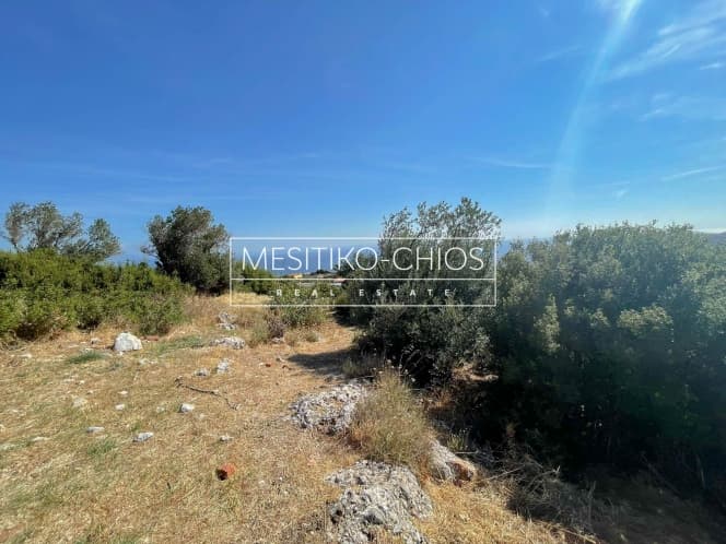 Οικόπεδο στην Ομηρούπολη, Χίος — Φωτογραφία 1 από 8