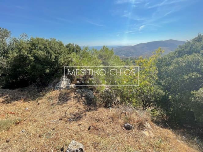 Οικόπεδο στην Ομηρούπολη, Χίος — Φωτογραφία 6 από 8