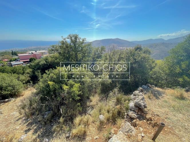 Οικόπεδο στην Ομηρούπολη, Χίος — Φωτογραφία 8 από 8