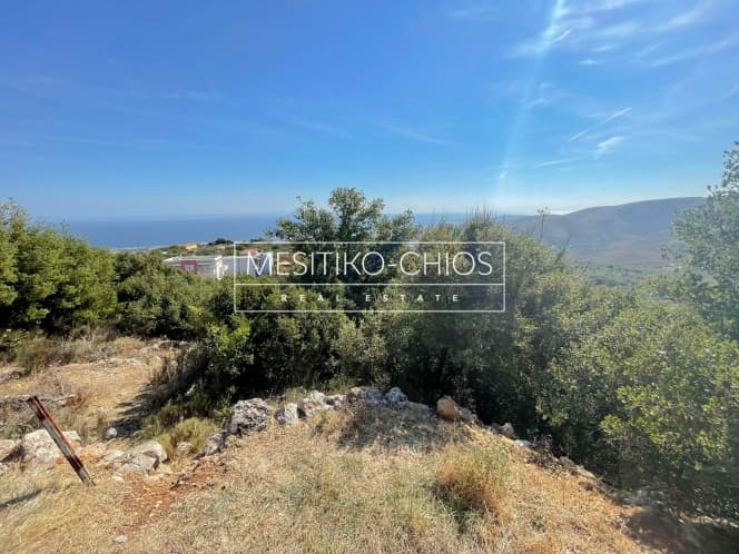 Οικόπεδο στην Ομηρούπολη, Χίος — Φωτογραφία 5 από 8