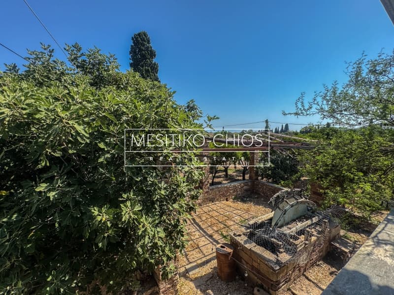 House in Agios Minas, Chios — Photo 27 of 27