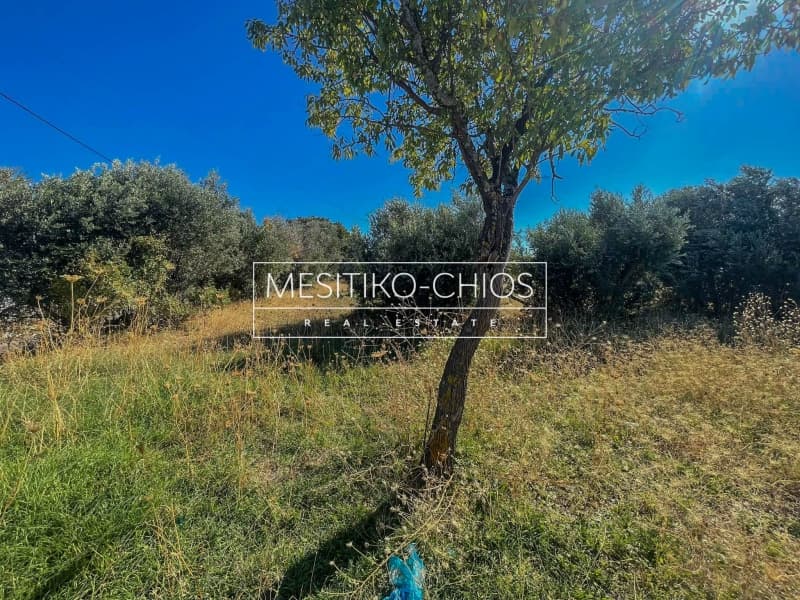 Οικόπεδο στην Πόλη Χίου, Χίος — Φωτογραφία 4 από 25
