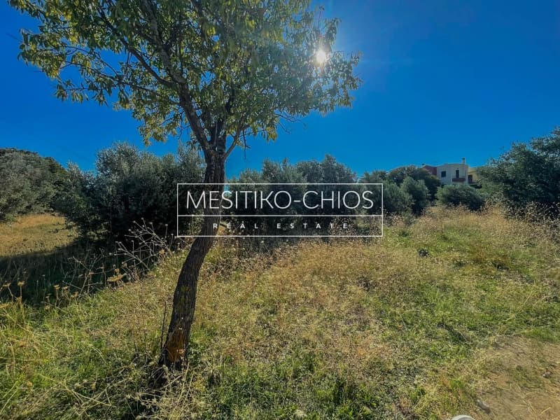 Οικόπεδο στην Πόλη Χίου, Χίος — Φωτογραφία 10 από 25