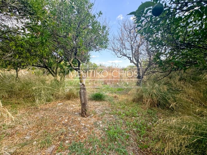 Building Plot in Kardamila, Oinousses — Photo 1 of 25