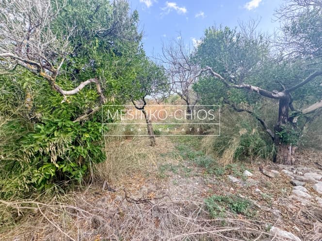 Building Plot in Kardamila, Oinousses — Photo 14 of 25