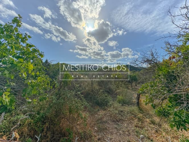 Building Plot in Kardamila, Oinousses — Photo 18 of 25