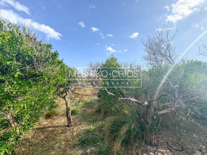 Building Plot in Kardamila, Oinousses — Photo 14 of 25
