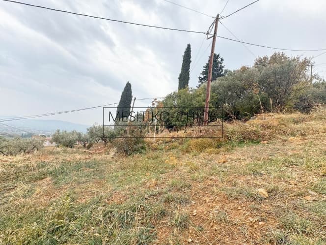 Οικόπεδο στην Καμποχώρια, Χίος — Φωτογραφία 22 από 25