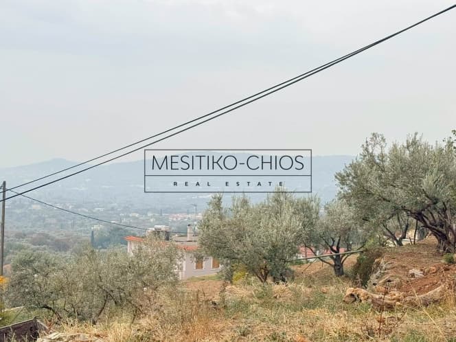 Οικόπεδο στην Καμποχώρια, Χίος — Φωτογραφία 5 από 25