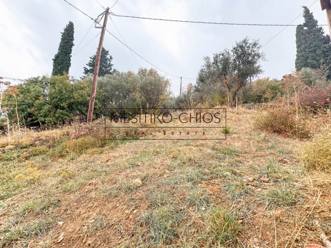 Οικόπεδο στην Καμποχώρια, Χίος — Φωτογραφία 7 από 25
