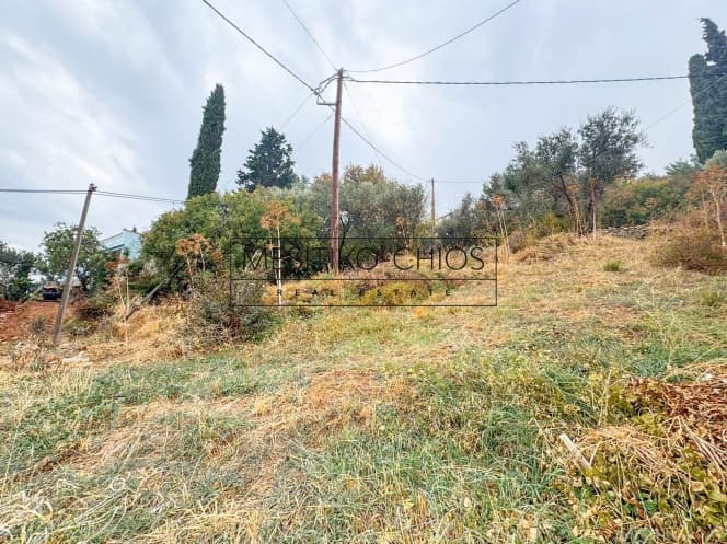 Οικόπεδο στην Καμποχώρια, Χίος — Φωτογραφία 6 από 25
