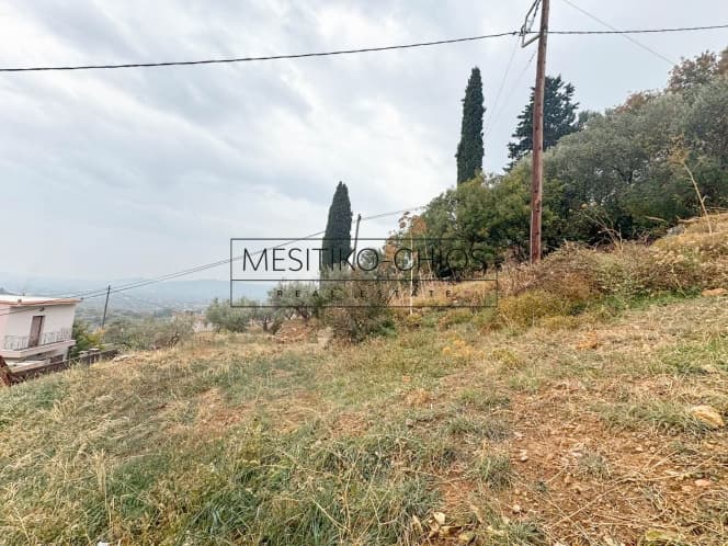 Οικόπεδο στην Καμποχώρια, Χίος — Φωτογραφία 4 από 25