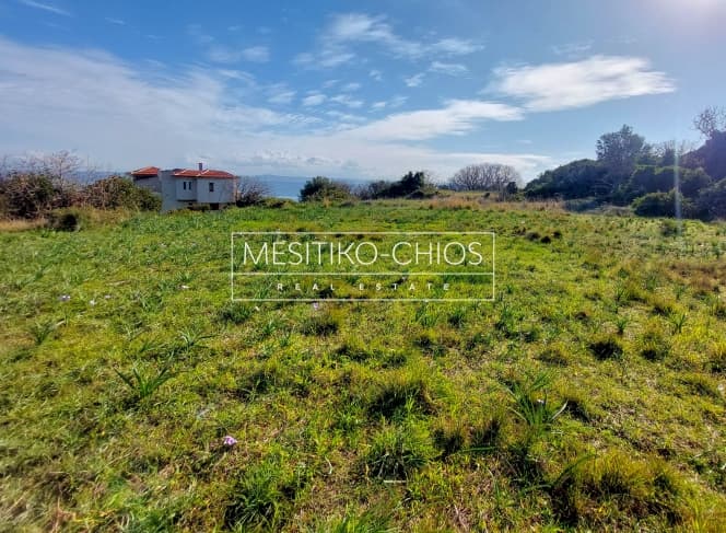 Αγροτεμάχιο στην Άγιος Μηνάς, Χίος — Φωτογραφία 15 από 25