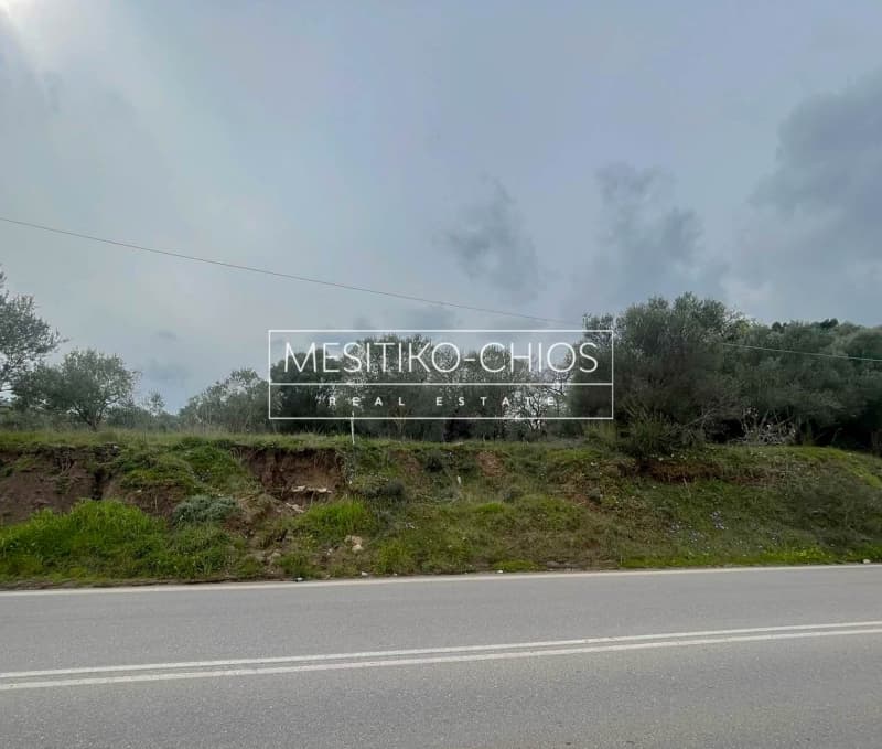 Οικόπεδο στην Άγιος Μηνάς, Χίος — Φωτογραφία 8 από 25