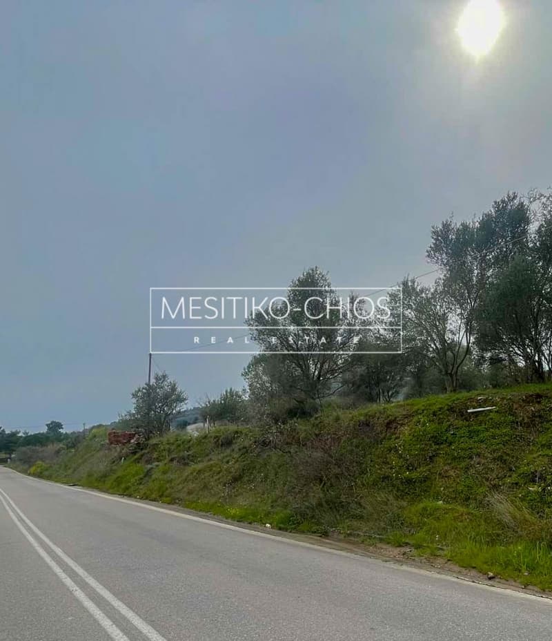 Οικόπεδο στην Άγιος Μηνάς, Χίος — Φωτογραφία 1 από 25