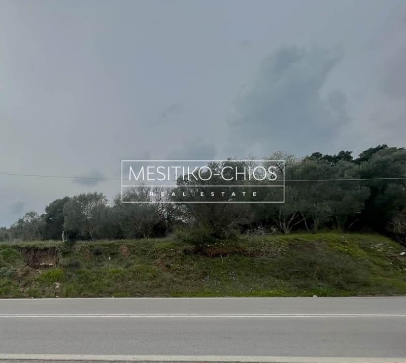 Οικόπεδο στην Άγιος Μηνάς, Χίος — Φωτογραφία 18 από 25