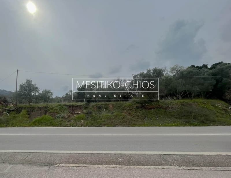 Οικόπεδο στην Άγιος Μηνάς, Χίος — Φωτογραφία 20 από 25