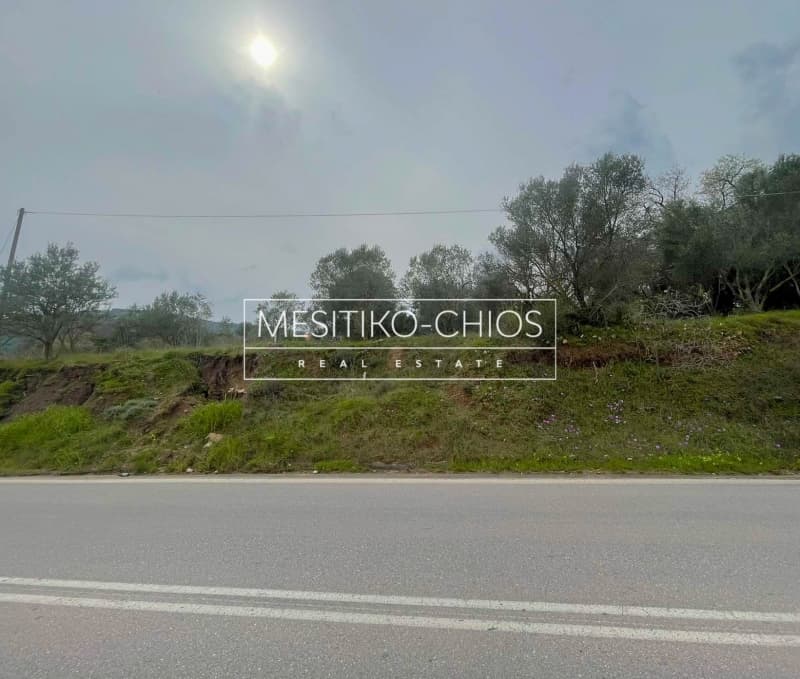 Οικόπεδο στην Άγιος Μηνάς, Χίος — Φωτογραφία 16 από 25
