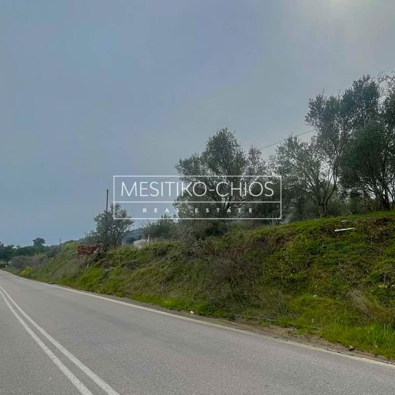 Οικόπεδο στην Άγιος Μηνάς, Χίος — Φωτογραφία 3 από 25