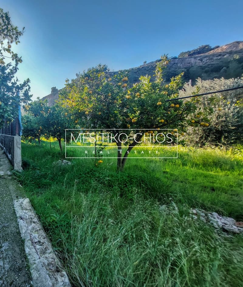 Οικόπεδο στην Πόλη Χίου, Χίος — Φωτογραφία 5 από 23