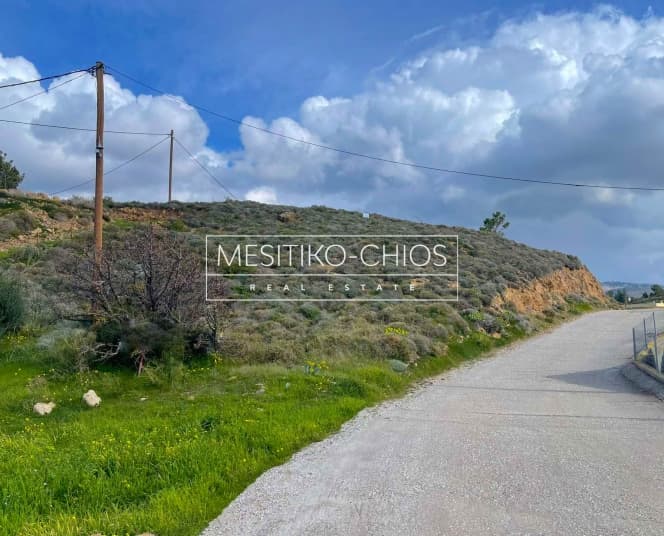 Οικόπεδο στην Αμάνη, Χίος — Φωτογραφία 10 από 26