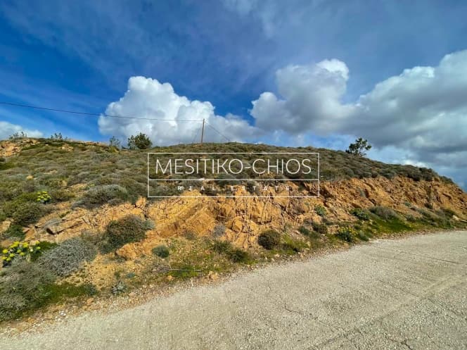 Οικόπεδο στην Αμάνη, Χίος — Φωτογραφία 5 από 26