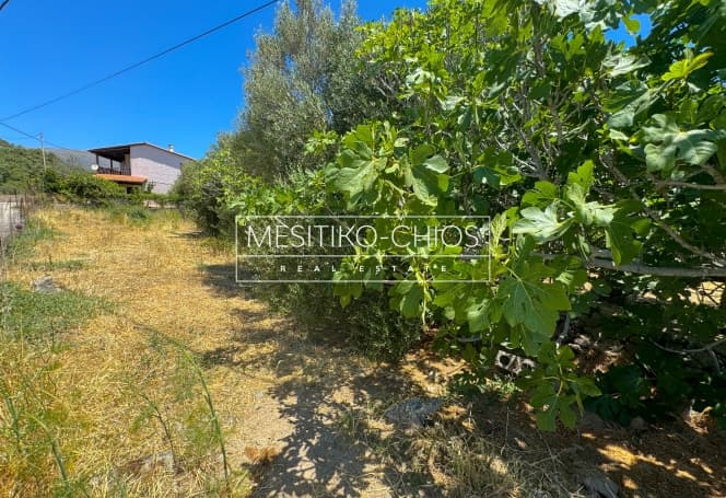 Οικόπεδο στην Αμάνη, Χίος — Φωτογραφία 4 από 8