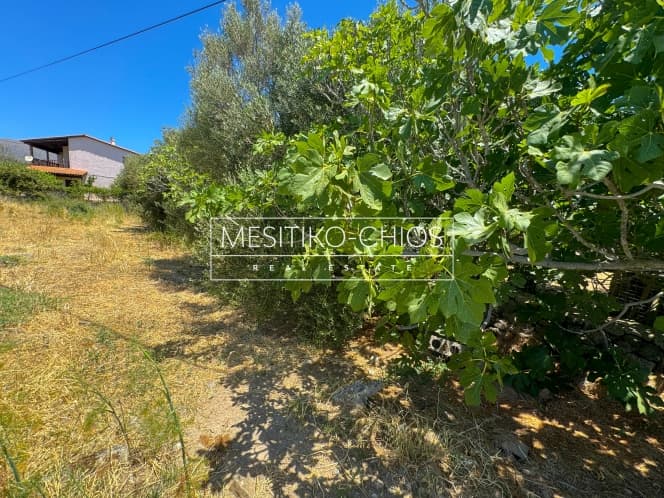 Οικόπεδο στην Αμάνη, Χίος — Φωτογραφία 7 από 8