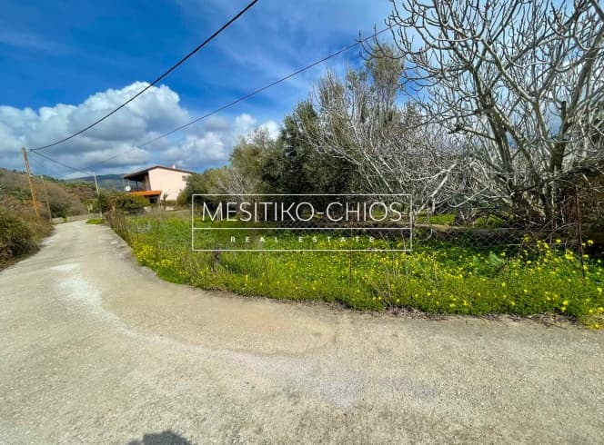 Οικόπεδο στην Αμάνη, Χίος — Φωτογραφία 3 από 8