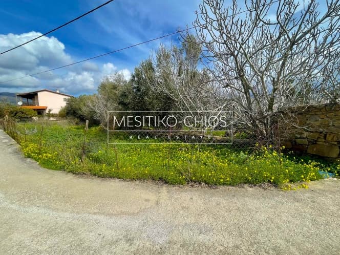 Οικόπεδο στην Αμάνη, Χίος — Φωτογραφία 1 από 8