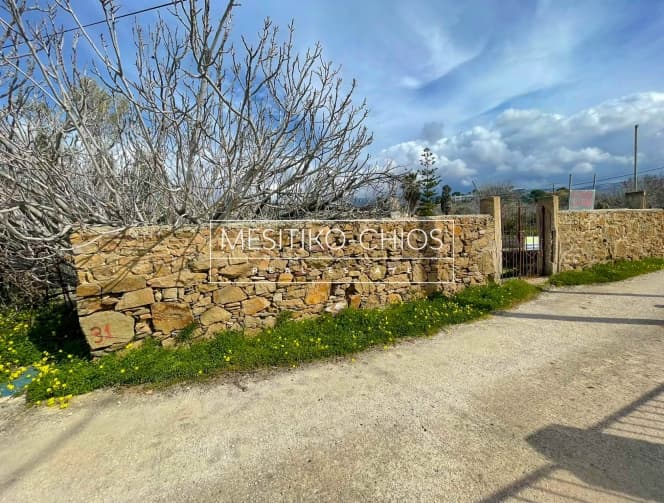 Οικόπεδο στην Αμάνη, Χίος — Φωτογραφία 3 από 17