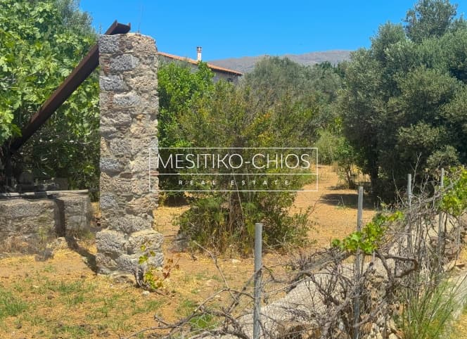 Οικόπεδο στην Αμάνη, Χίος — Φωτογραφία 16 από 17