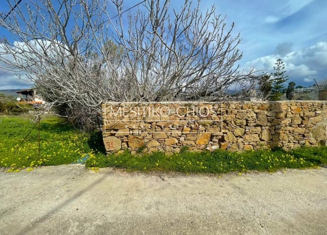 Οικόπεδο στην Αμάνη, Χίος — Φωτογραφία 5 από 17