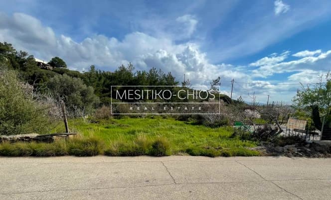 Οικόπεδο στην Αμάνη, Χίος — Φωτογραφία 1 από 7