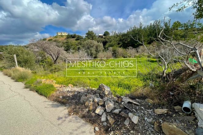Οικόπεδο στην Αμάνη, Χίος — Φωτογραφία 4 από 7