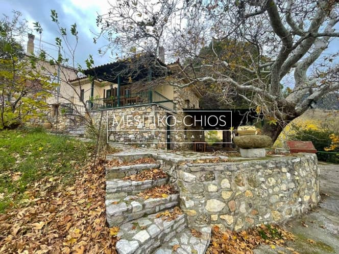 House in Amani, Chios — Photo 7 of 22