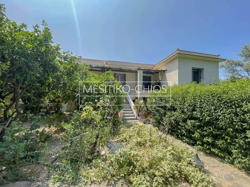 House in Agios Minas, Chios — Photo 23 of 25