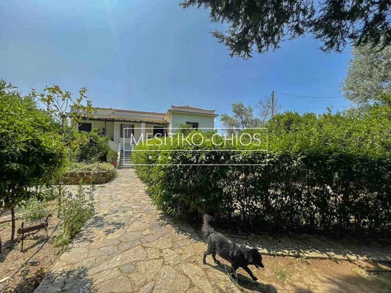 House in Agios Minas, Chios — Photo 24 of 25
