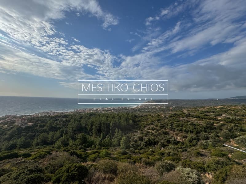 House in Agios Minas, Chios — Photo 18 of 27